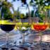 Какие бывают вина: виды вин и их классификация